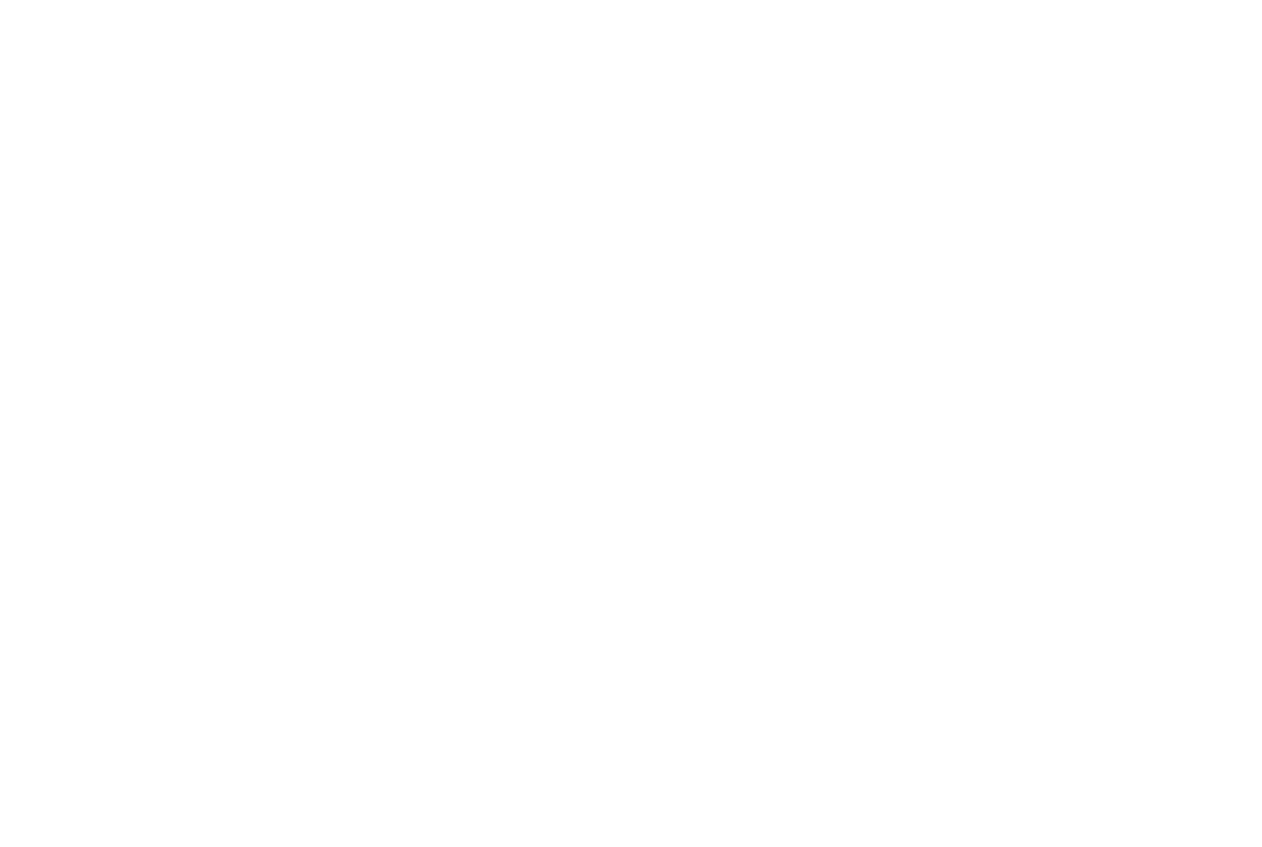 Feelz on Wheelz